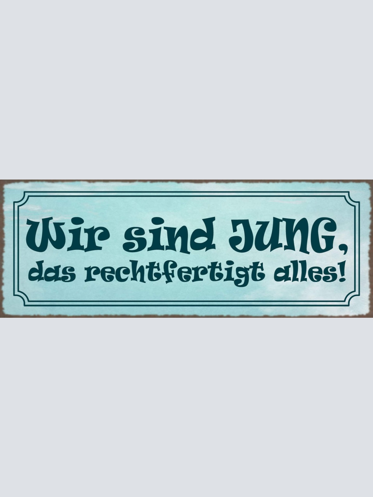 Schild Wir Sind Jung Das Rechtfertigt Alles Unerfahren 27x10 Blech od.Holz