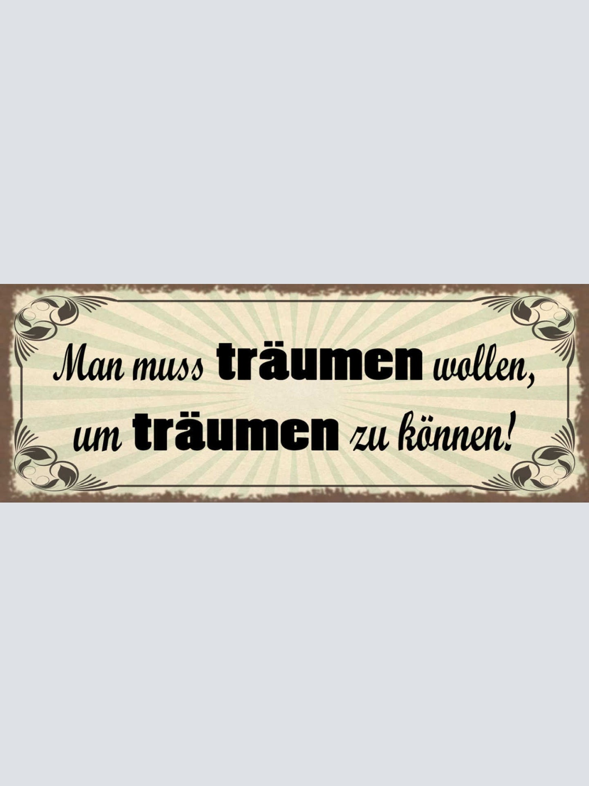 Schild Man Muss Träumen Wollen Um Träumen Zu Können Traum 27x10 Blech od.Holz