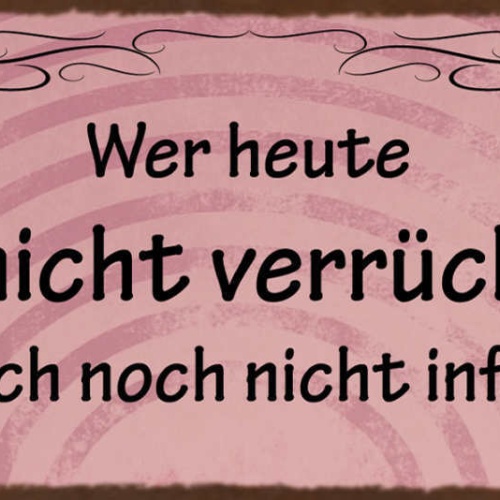Schild Wer Heute Noch Nicht Verrückt Ist Ist Einfach Noch Nicht Informiert 27x10