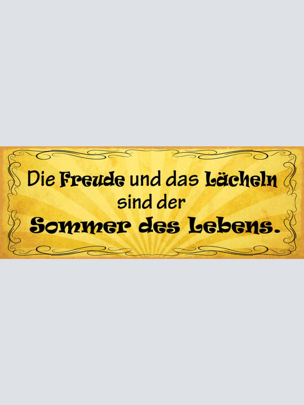 Schild Die Freude & Das Lächeln Sind Der Sommer Des Lebens 27x10 Blech od.Holz