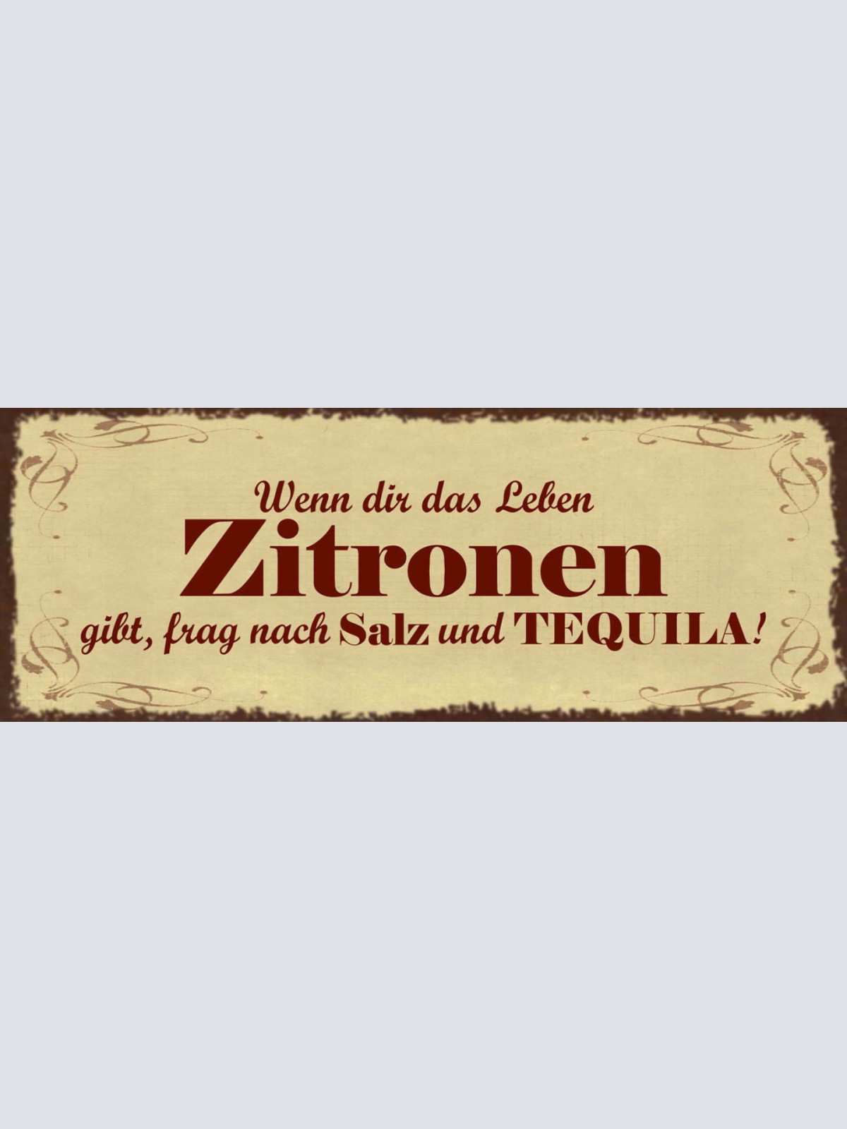 Schild Wenn Dir Das Leben Zitronen Gibt Frag Nach Salz & Tequila Alkohol 27x10