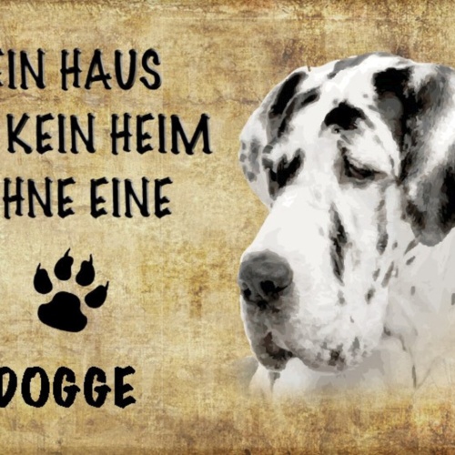 Schild Spruch Haus ist keine Heim ohne Dogge Hund JW