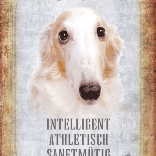Schild Spruch Borsoi Hund Steckbrief Intelligent Athletisch JW