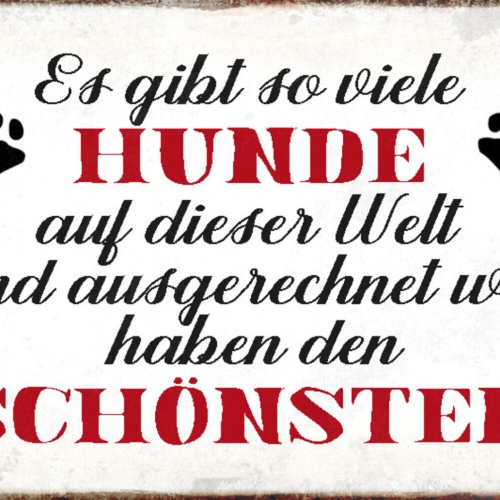 Schild Spruch Gibt so viele Hunde ausgerechnet wir haben den schönsten JW
