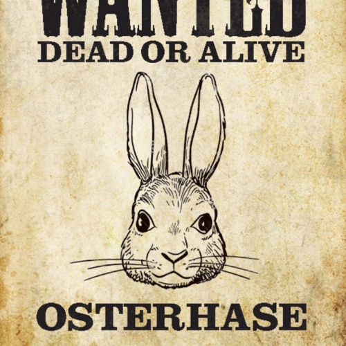 Schild Spruch Wanted Dead or Alive Gesucht Tot Lebend Osterhase JW