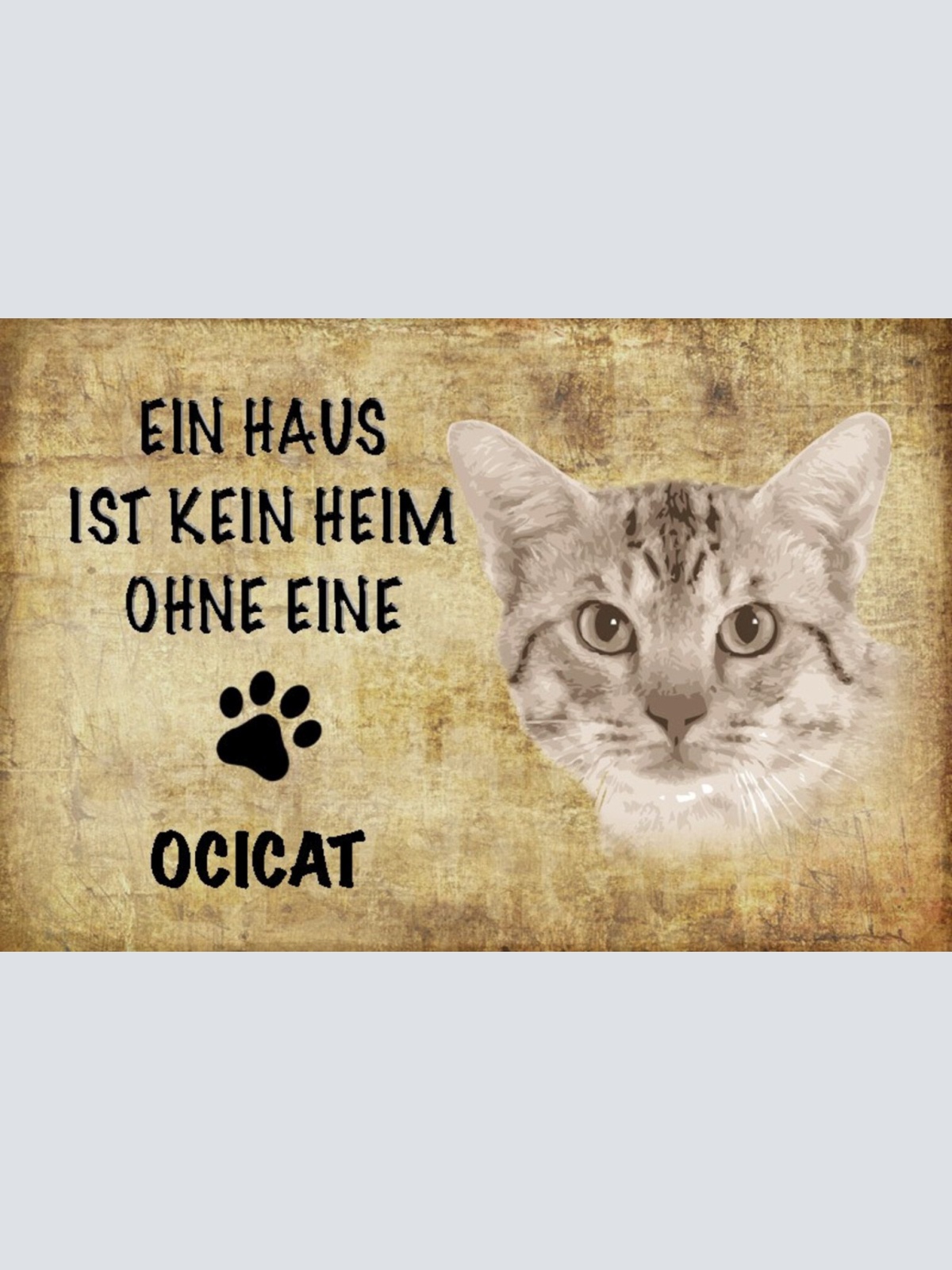 Schild Spruch Haus ist kein Heim ohne Ocicat Katze JW