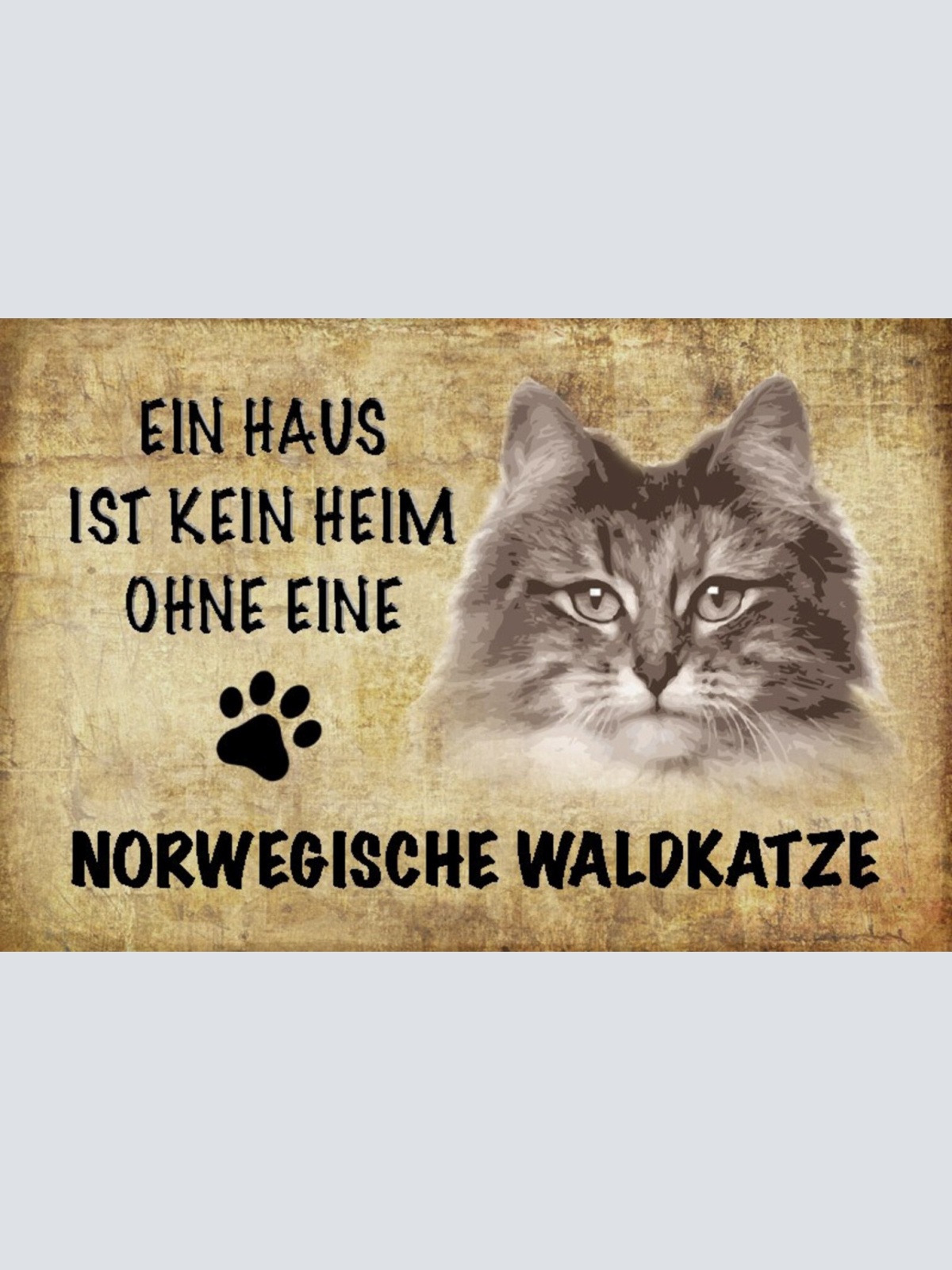 Schild Spruch Haus ist kein Heim ohne Norwegische Waldkatze JW