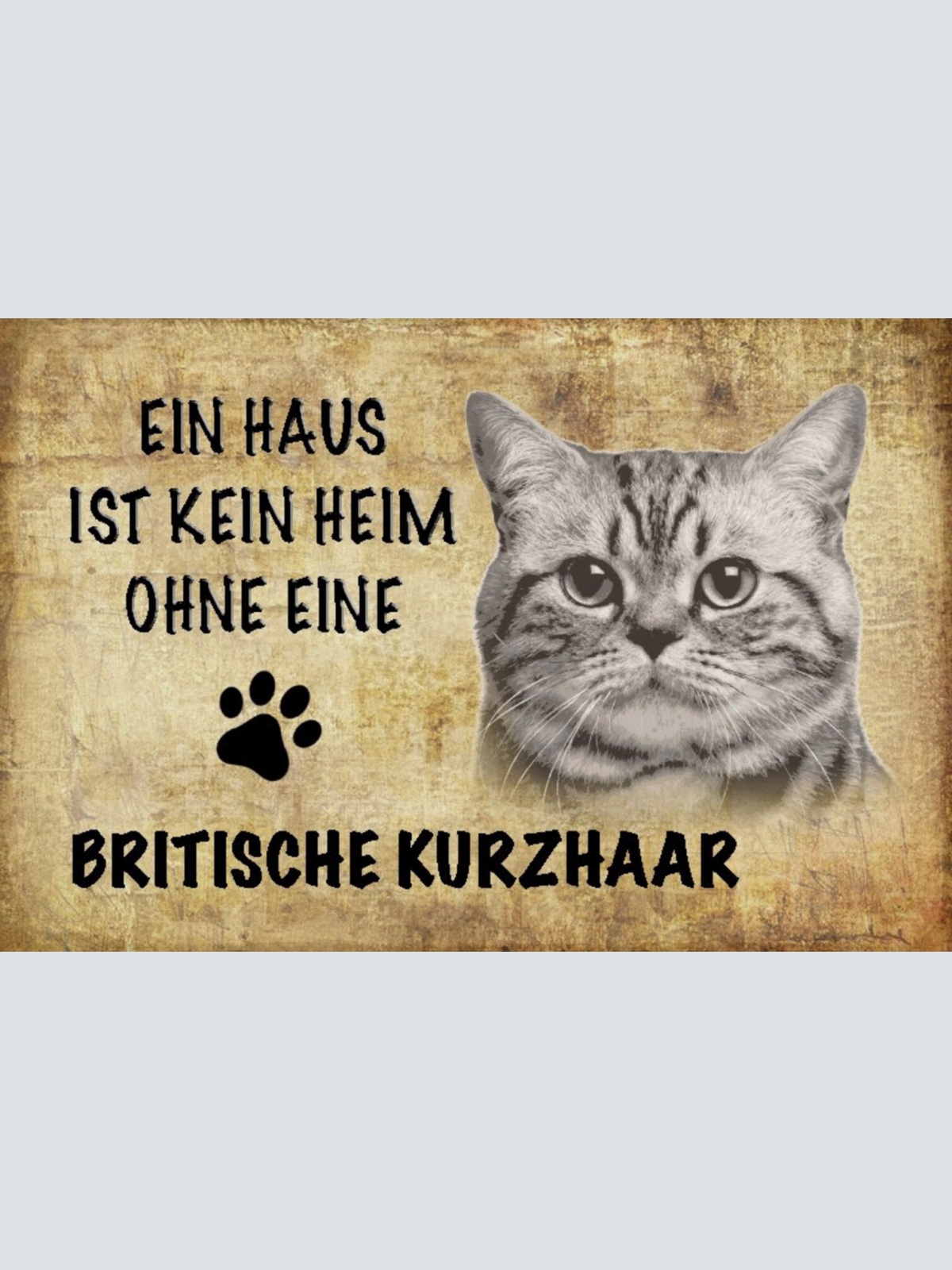 Schild Spruch Haus ist kein Heim ohne Britische Kurzhaar Katze JW