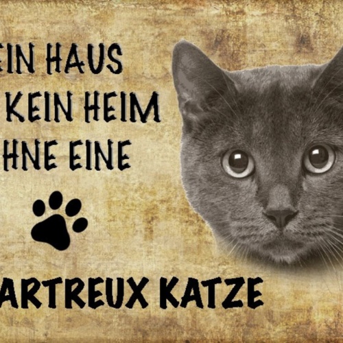Schild Spruch Haus ist kein Heim ohne Chartreux Katze JW