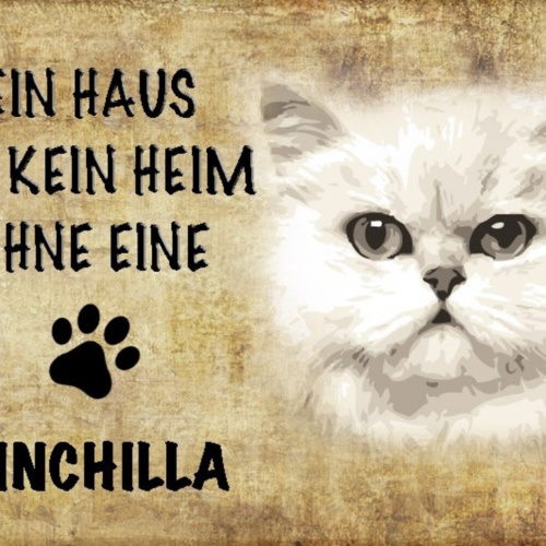 Schild Spruch Haus ist kein Heim ohne Chinchilla Katze JW