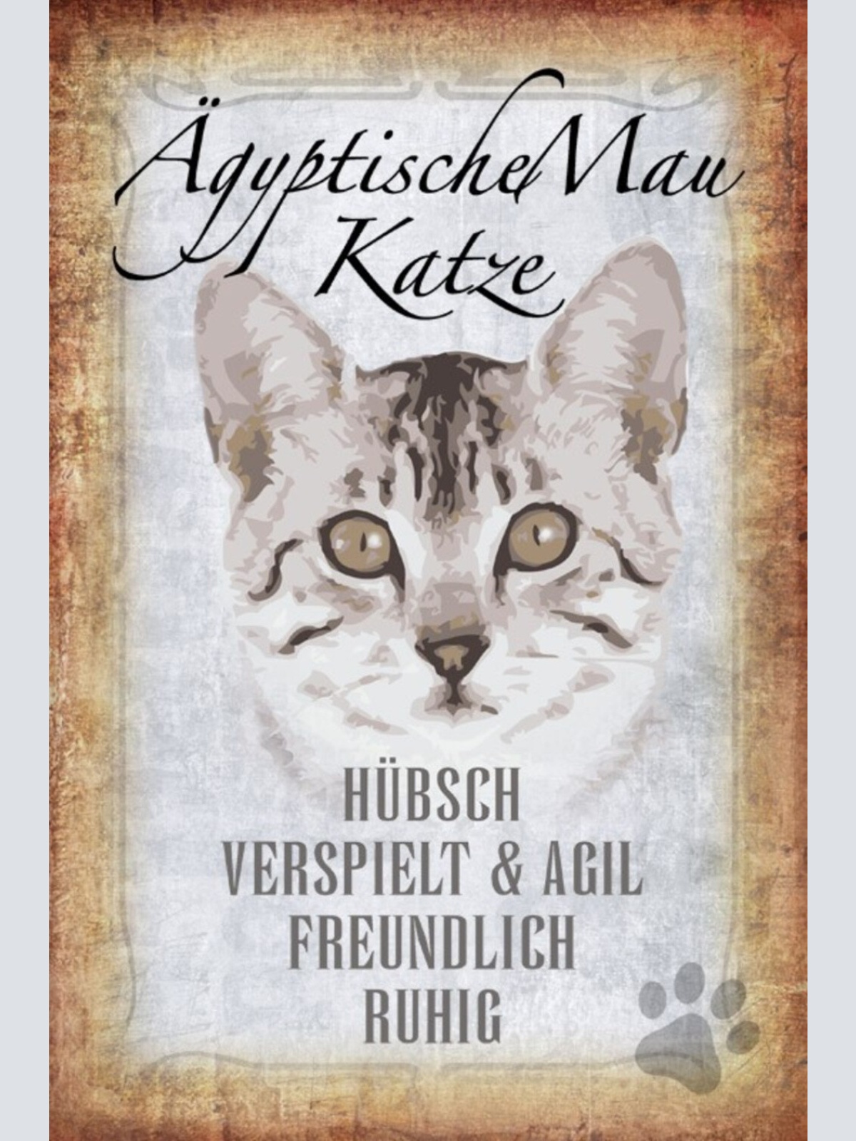 Schild Spruch Ägyptische Mau Katze Steckbrief Hübsch Verspielt JW