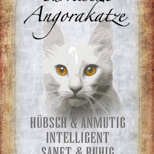 Schild Spruch Türkische Angorakatze Steckbrief Hübsch Intelligent Sanft JW