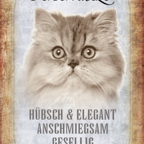 Schild Spruch Perserkatze Steckbrief Hübsch Elegant Gesellig JW