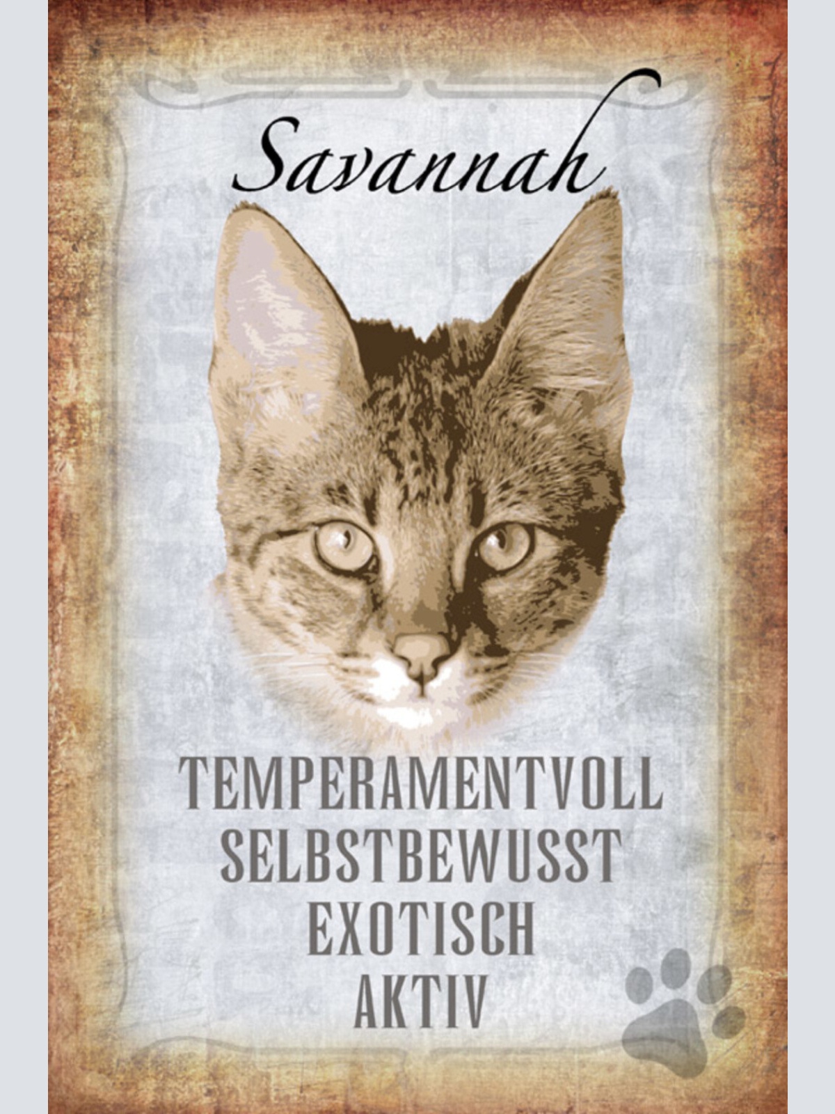 Schild Spruch Savannah Katze Steckbrief Temperamentvoll Selbstbewußt JW