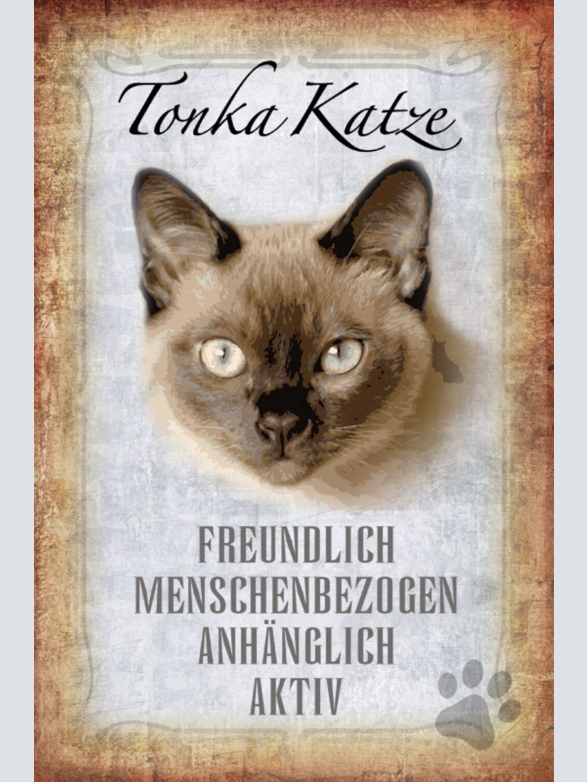 Schild Spruch Tonka Katze Steckbrief Freundlich Menschenbezogen JW