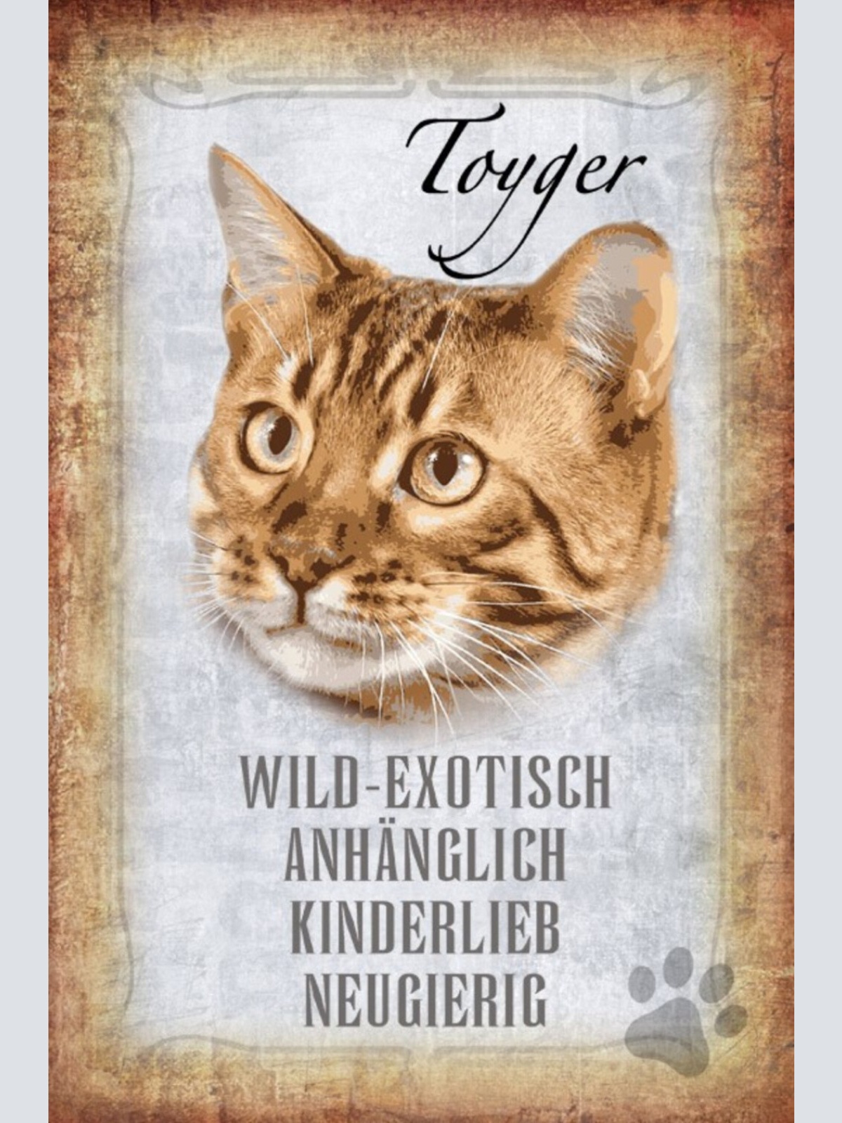 Schild Spruch Toyger Katze Steckbrief Anhänglich Kinderlieb JW