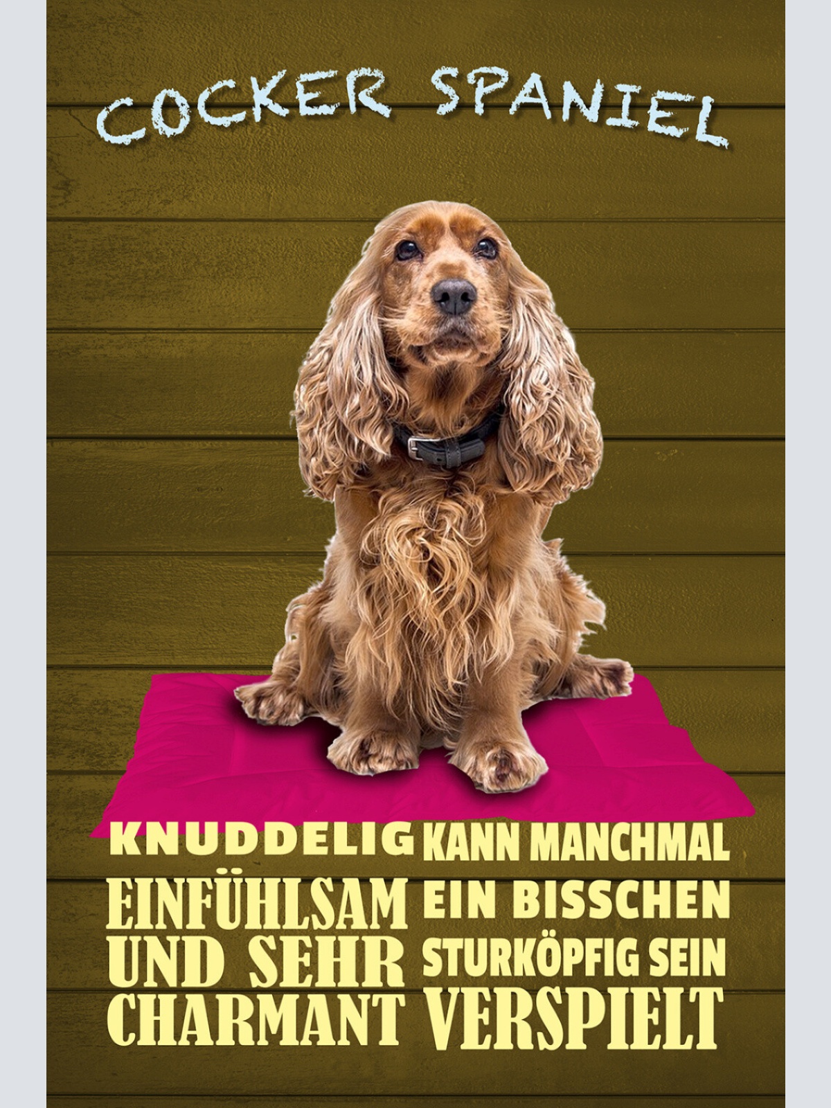 Schild Spruch Cocker Spaniel Steckbrief Knuddelig Verspielt Hund JW
