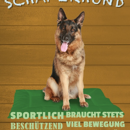 Schild Spruch Deutscher Schäferhund Steckbrief Vielseitig Sportlich Hund JW