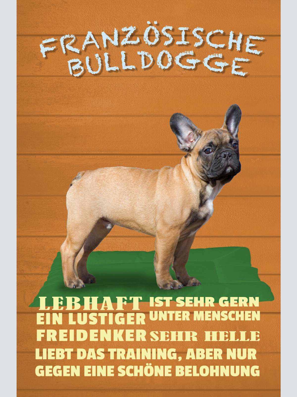 Schild Spruch Französische Bulldogge Steckbrief Lebhaft Lustiger Hund JW