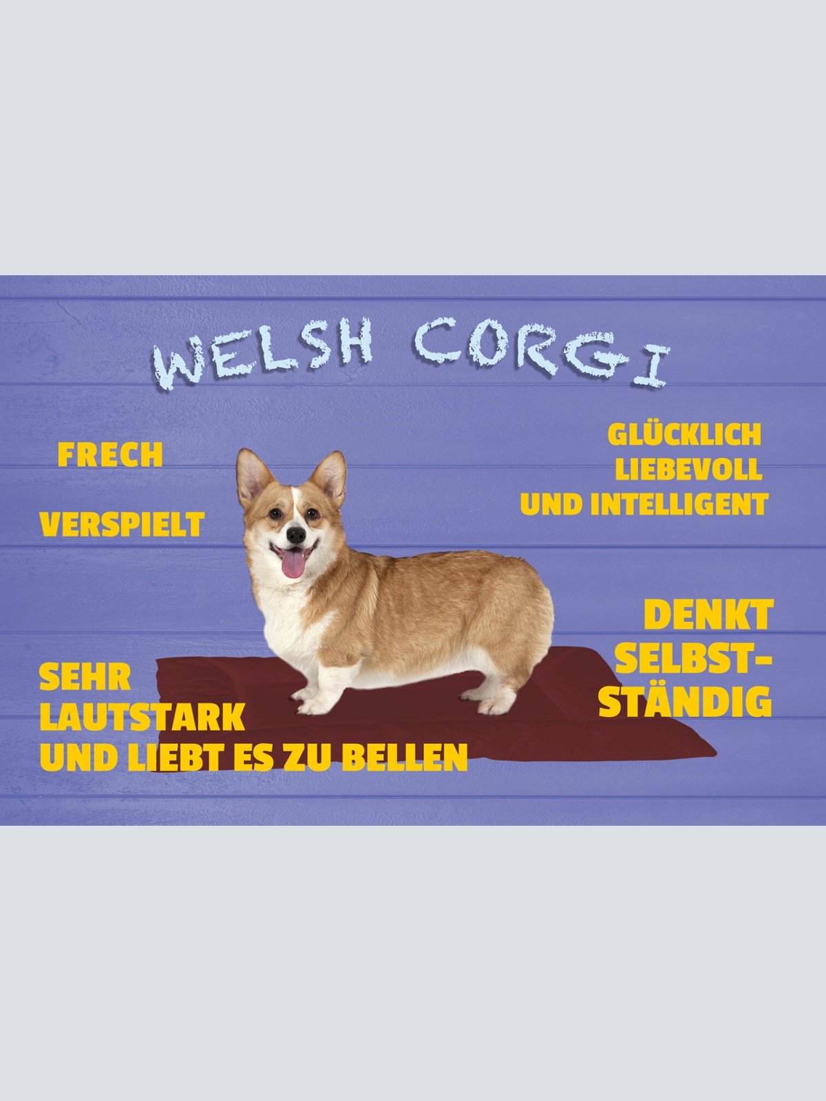 Schild Spruch Welsh Corgi Frech Verspielt Glücklich Hund JW