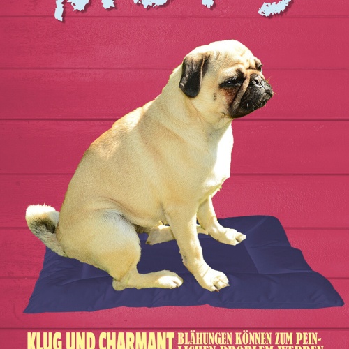 Schild Spruch Mops Steckbrief Klug und Charmant Aufmerksam Hund JW