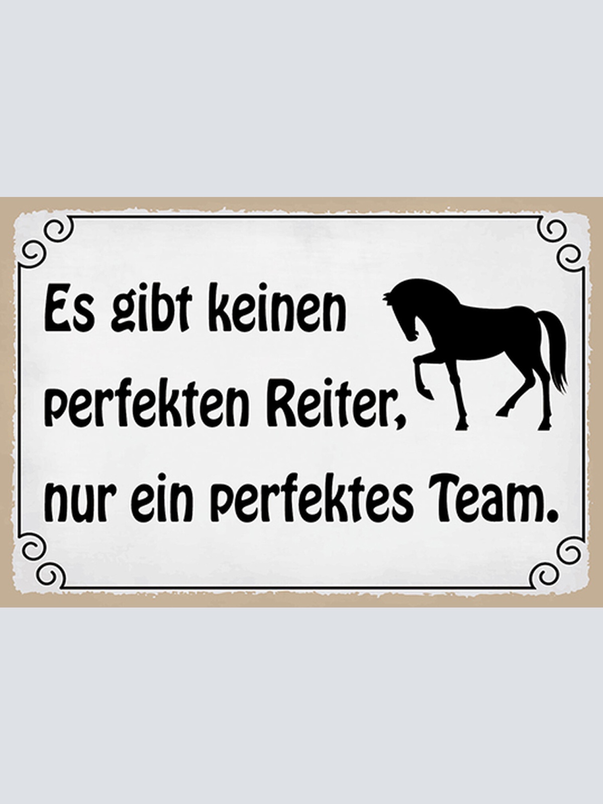 Schild Spruch Es gibt keinen perfekten Reiter nur ein perfektes Team Pferd  JW