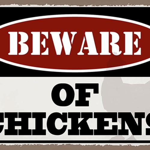 Schild Spruch Beware of chickens Warnung vor den Hühnern JW