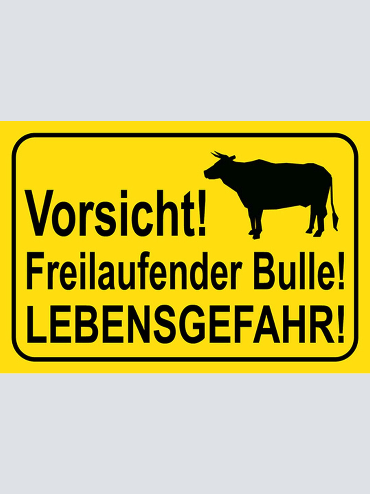 Schild Spruch Vorsicht Freilaufender Bulle Lebensgefahr Stier JW
