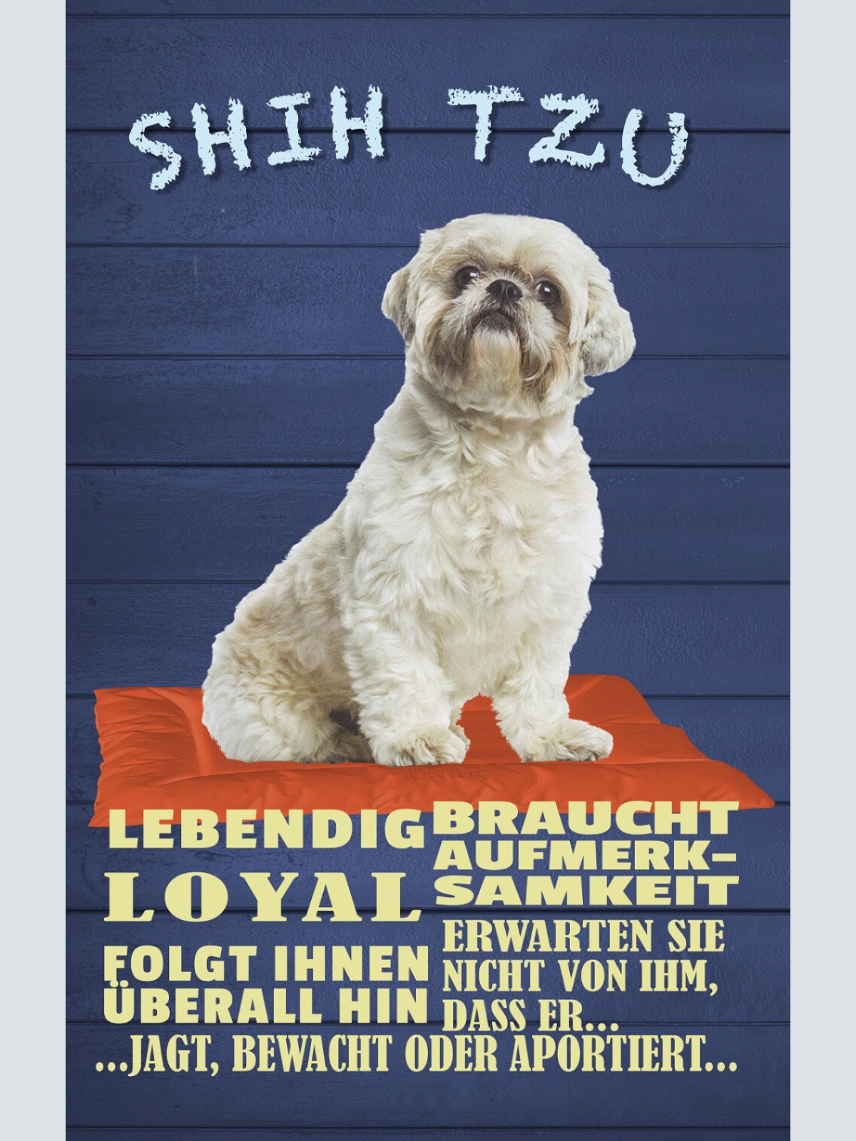 Schild Spruch Shih Tzu Steckbrief Lebendig Loyal braucht Aufmerksamkeit Hund JW