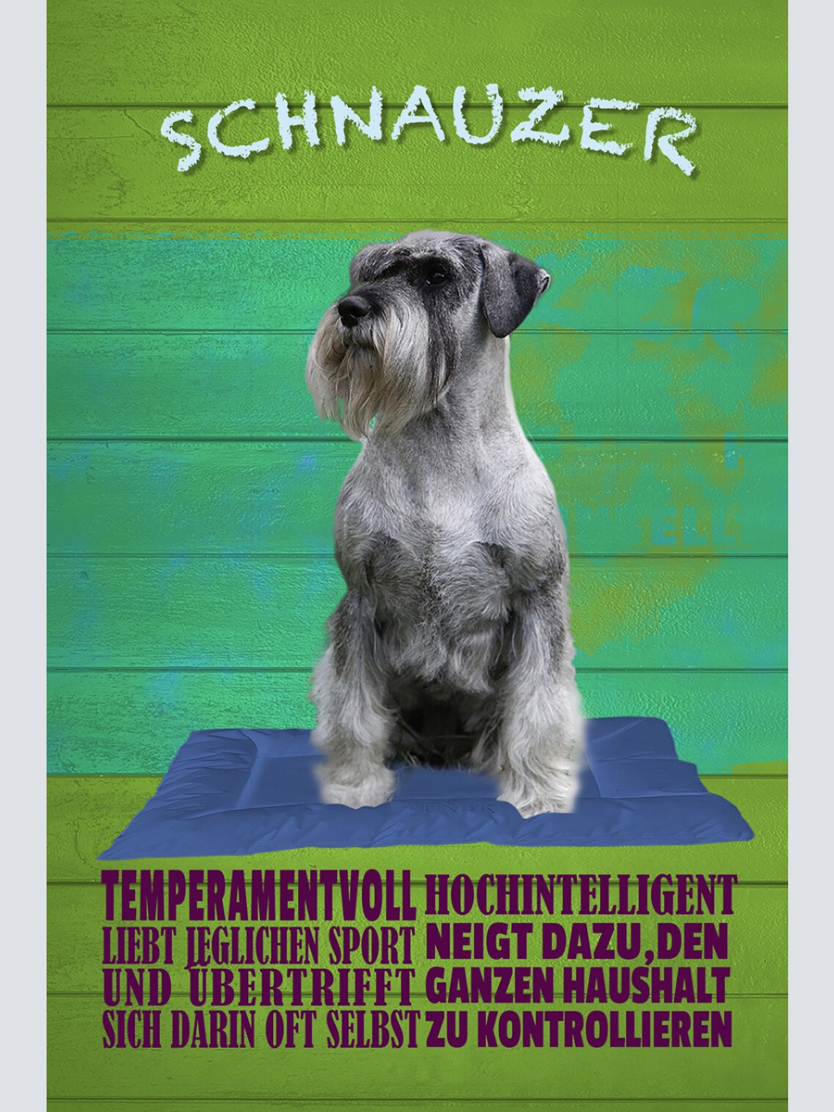Schild Spruch Schnauzer Steckbrief Temperamentvoll Hochintelligent Hund JW