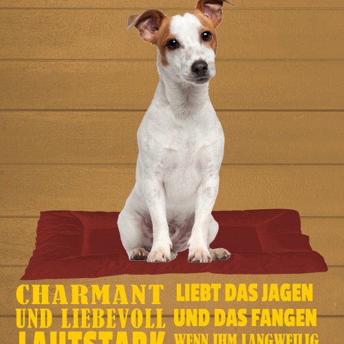 Schild Spruch Jack Russel Steckbrief Charmant Lautstark Liebevoll Hund JW