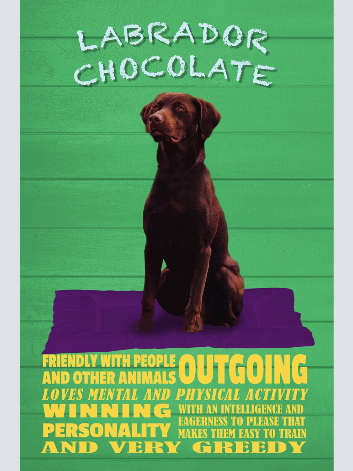 Schild Spruch Labrador Chocolate Steckbrief Greedy Gierig Hund JW