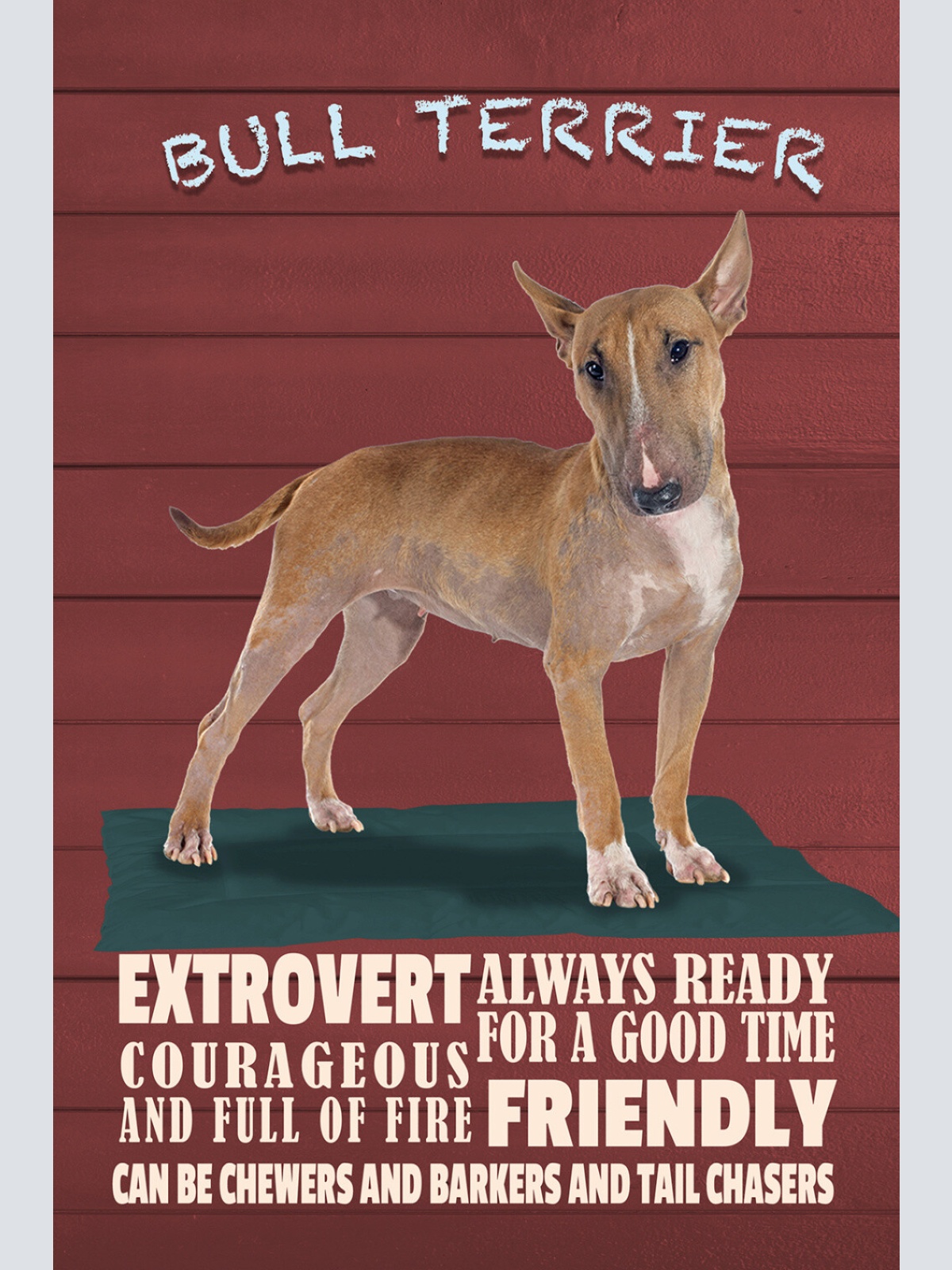 Schild Spruch Bull Terrier Steckbrief Friendly Freundlich Hund JW