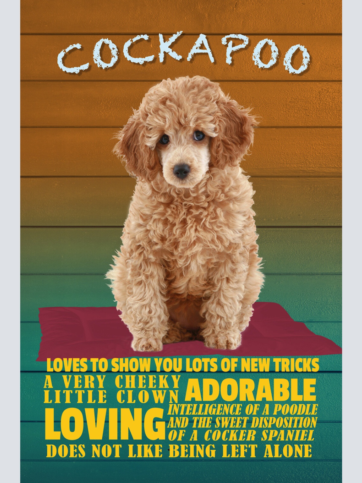 Schild Spruch Cockapoo Steckbrief Loving Liebevoll Hund JW