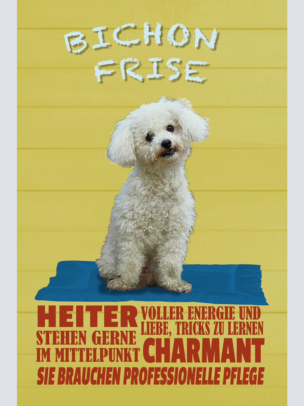 Schild Spruch Bichon Frise Steckbrief Heiter Charmant Hund JW