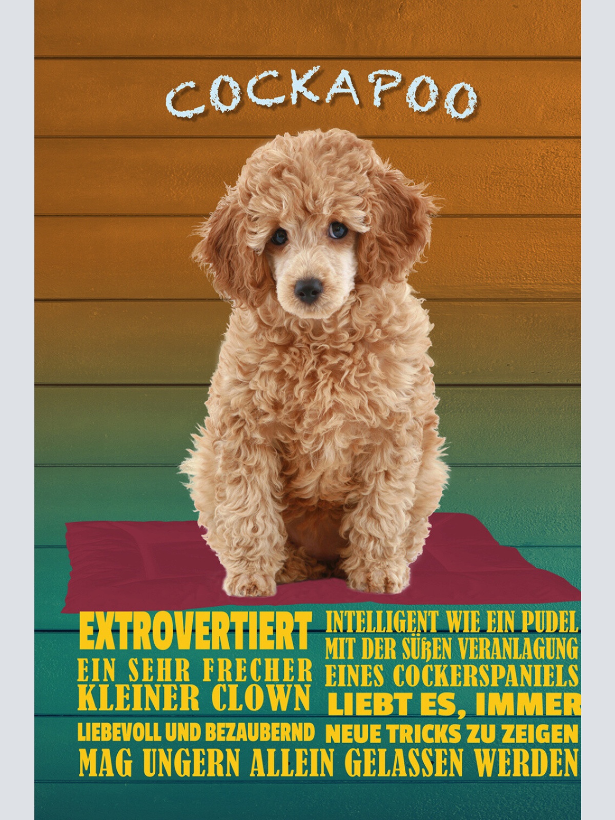 Schild Spruch Cockapoo Steckbrief Extrovertiert Liebevoll Hund JW