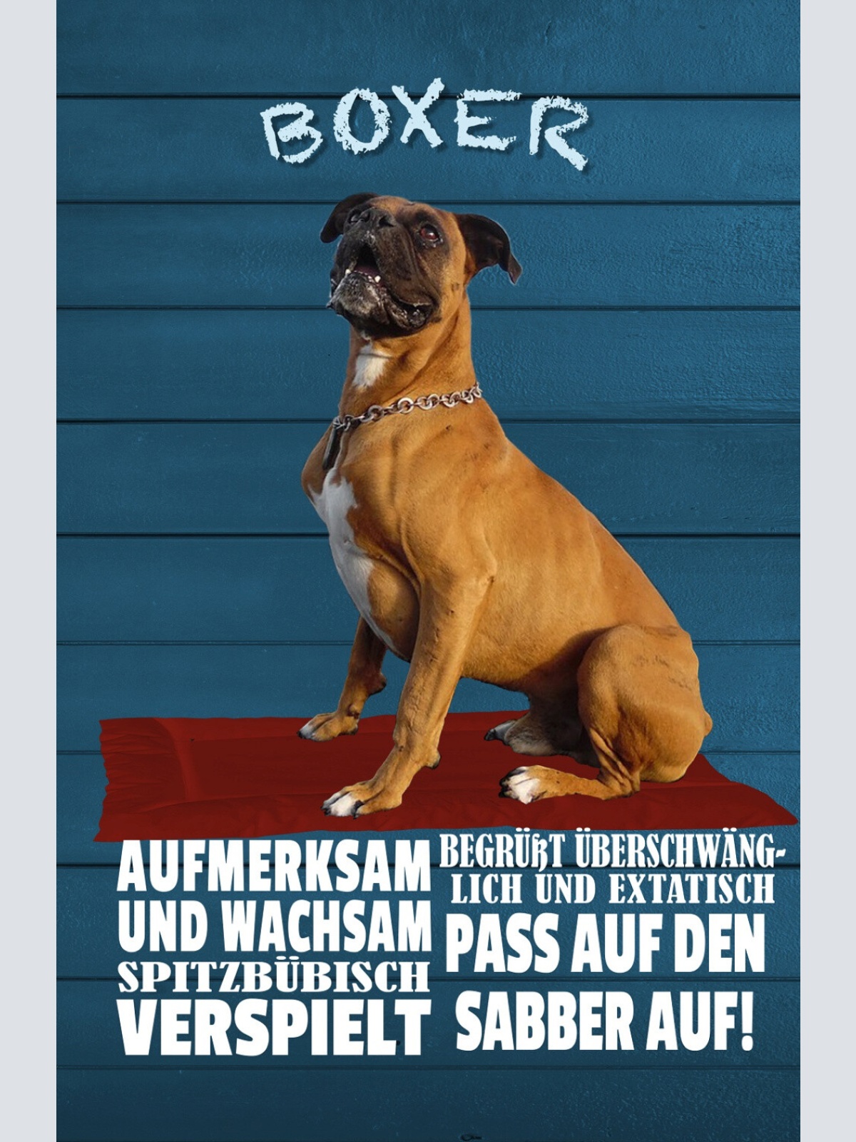 Schild Spruch Boxer Steckbrief Aufmerksam Wachsam Verspielt Hund JW