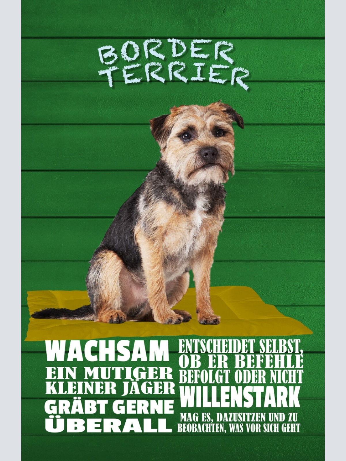 Schild Spruch Border Terrier Steckbrief Wachsam Willensstark Mutig Hung JW
