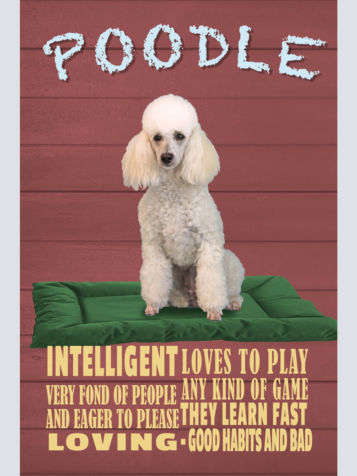 Schild Spruch Poodle Pudel Steckbrief Intelligent Loves to Play Hund JW