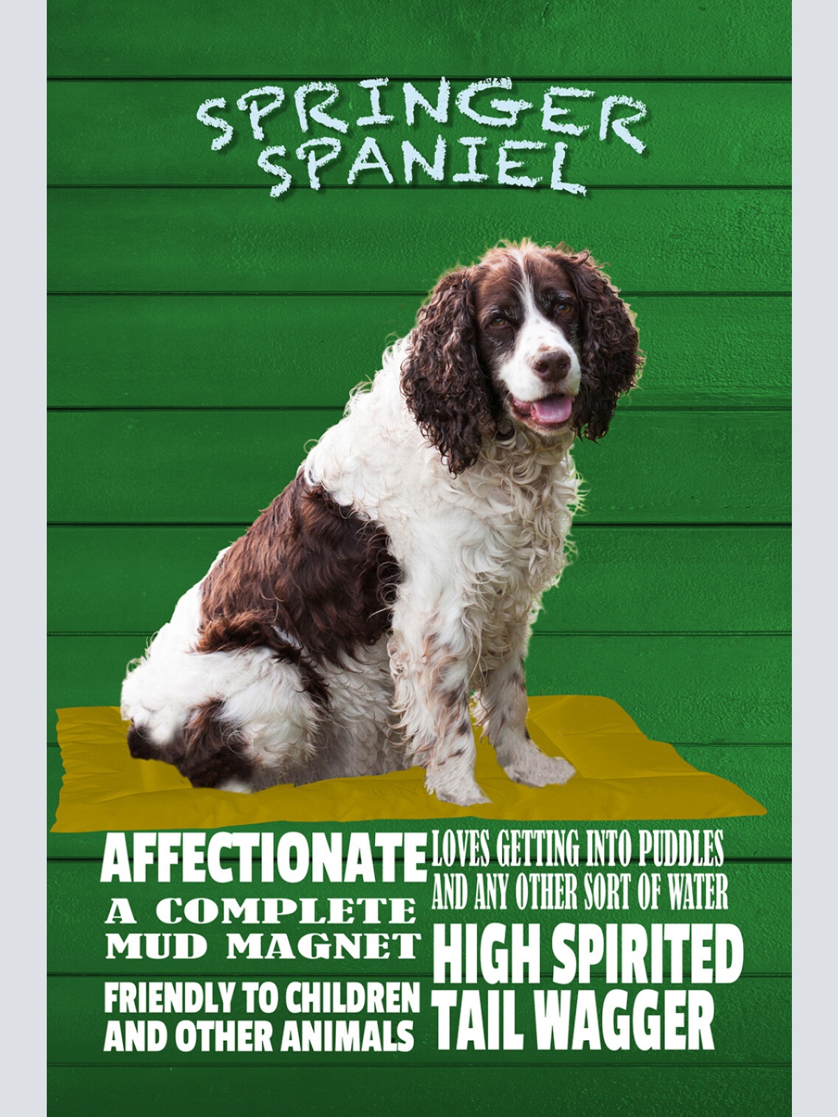 Schild Spruch Springer Spaniel Steckbrief Friendly to children Hund JW