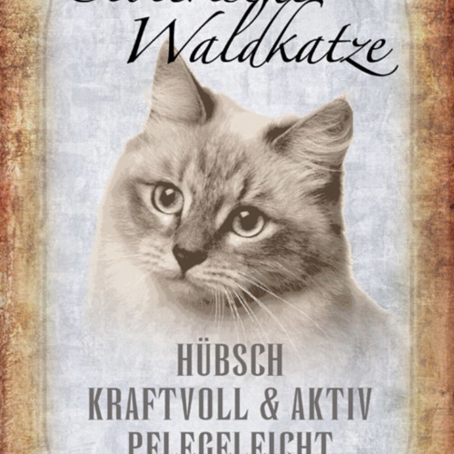 Schild Spruch Sibierirsche Waldkatze Steckbrief Hübsch Verspielt JW