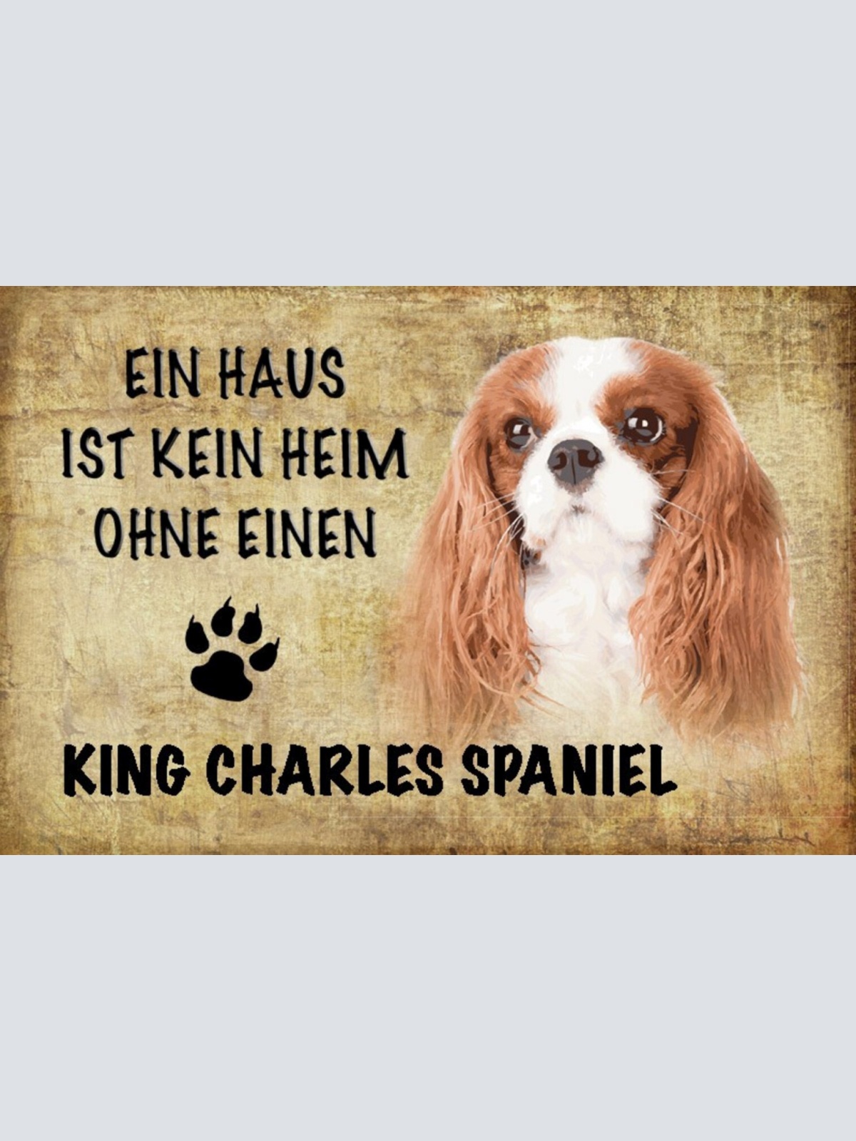 Schild Spruch Haus ist kein Heim ohne King Charles Spaniel Hund JW