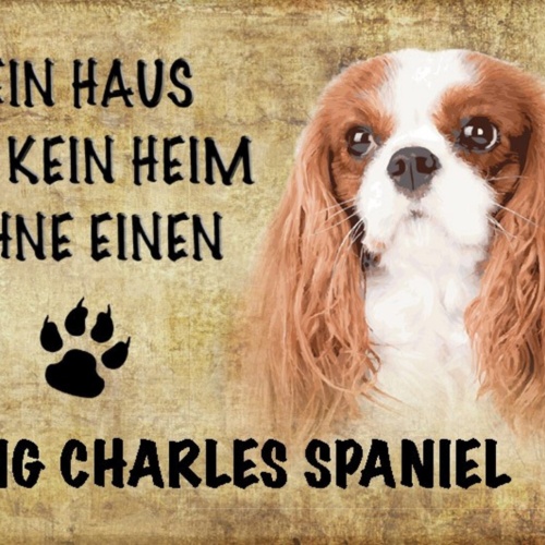 Schild Spruch Haus ist kein Heim ohne King Charles Spaniel Hund JW