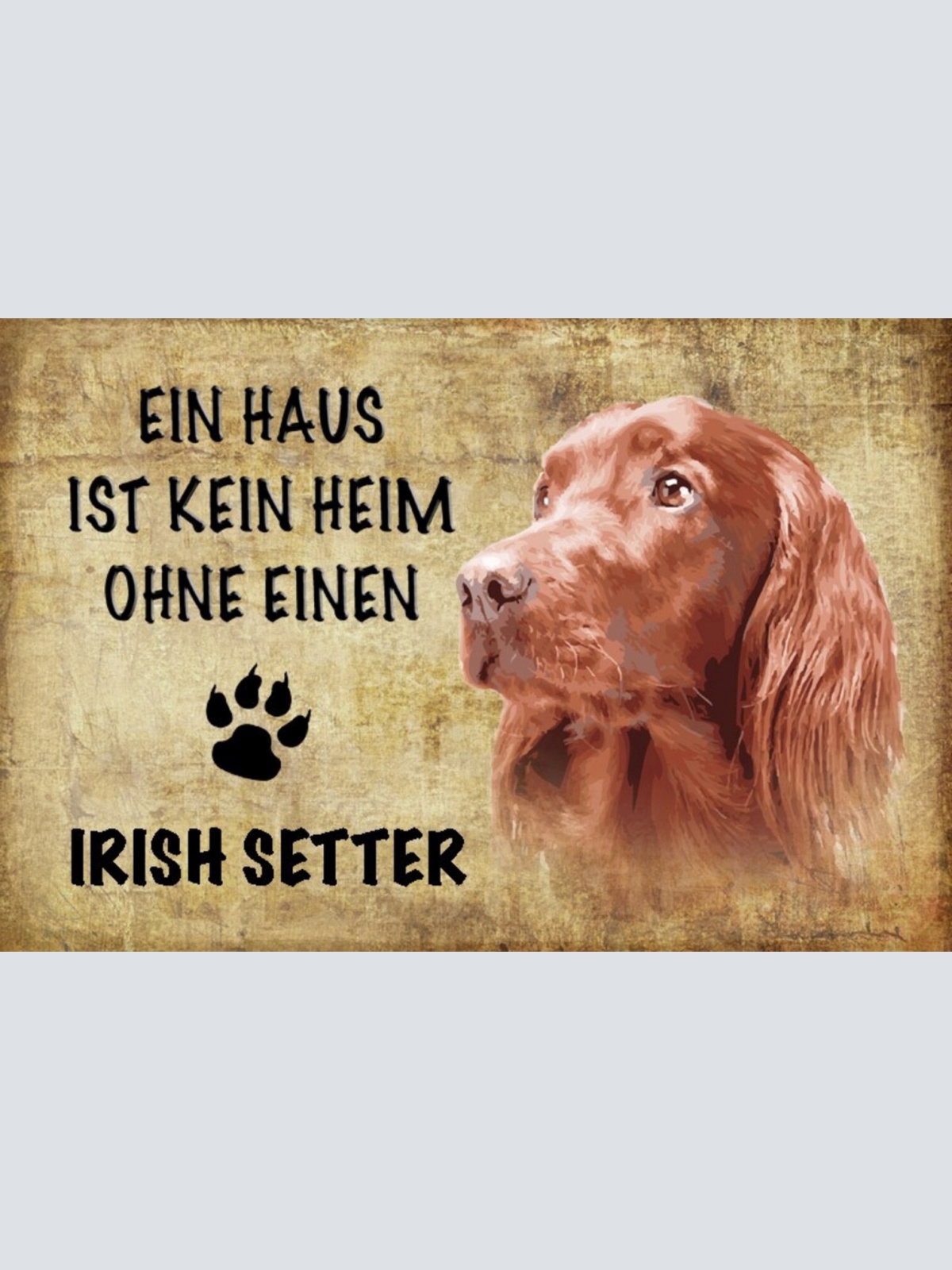 Schild Spruch Haus ist kein Heim ohne Irish Setter Hund JW