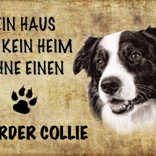 Schild Spruch Haus ist kein Heim ohne Border Collie Hund JW