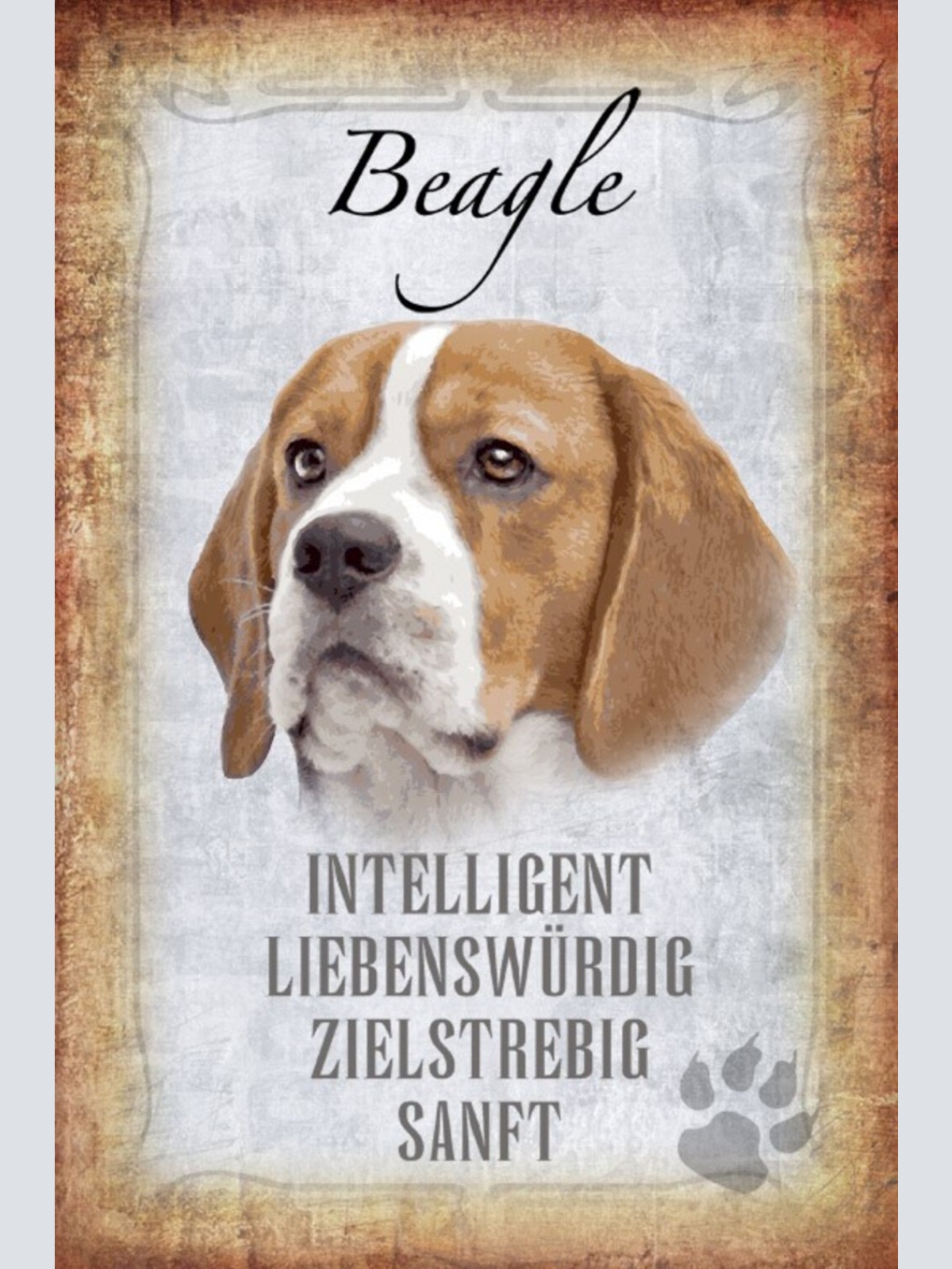 Schild Spruch Beagle Hund Steckbrief Intelligent Sanft JW