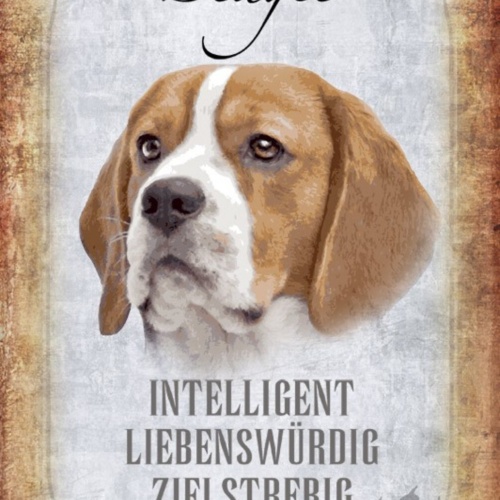 Schild Spruch Beagle Hund Steckbrief Intelligent Sanft JW