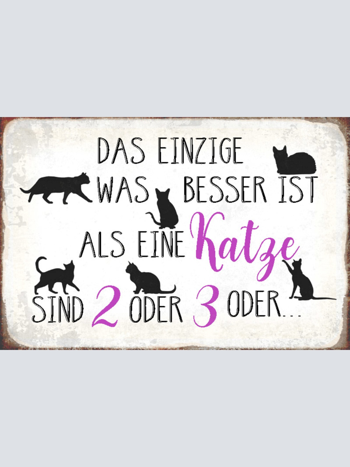 Schild Spruch Das einzige was besser ist als eine Katze sind zwei oder drei  JW