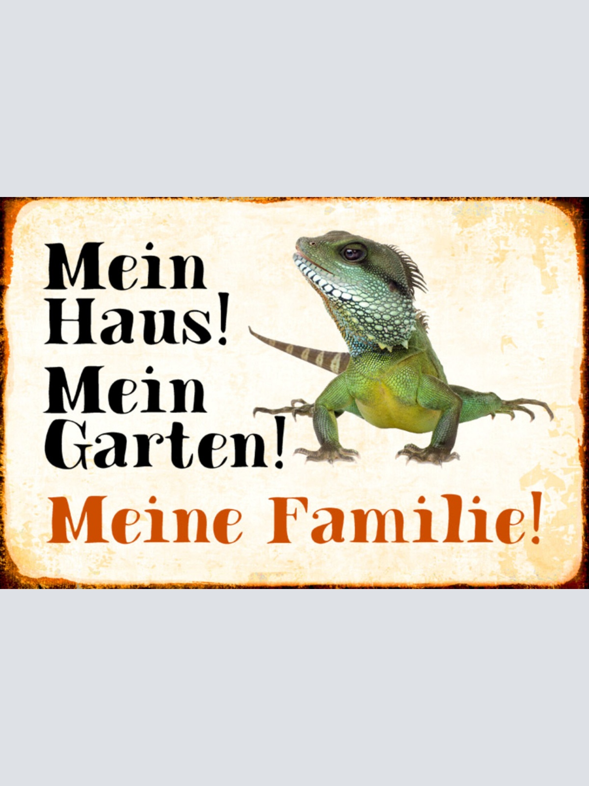 Schild Spruch Mein Haus Mein Garten Meine Familie Echse JW