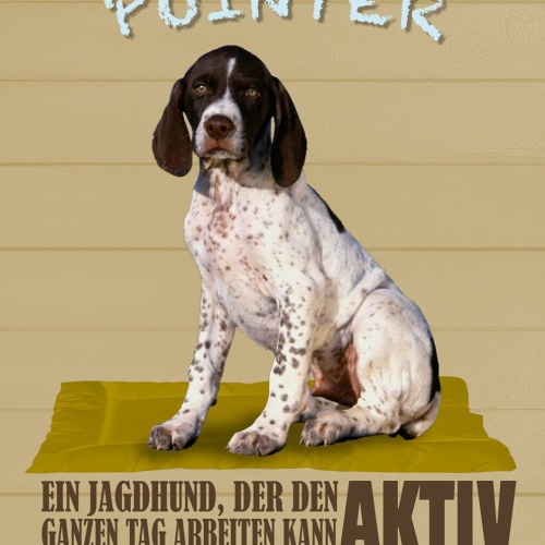 Schild Spruch English Pointer Steckbrief Aktiv Hingebungsvoll Hund JW
